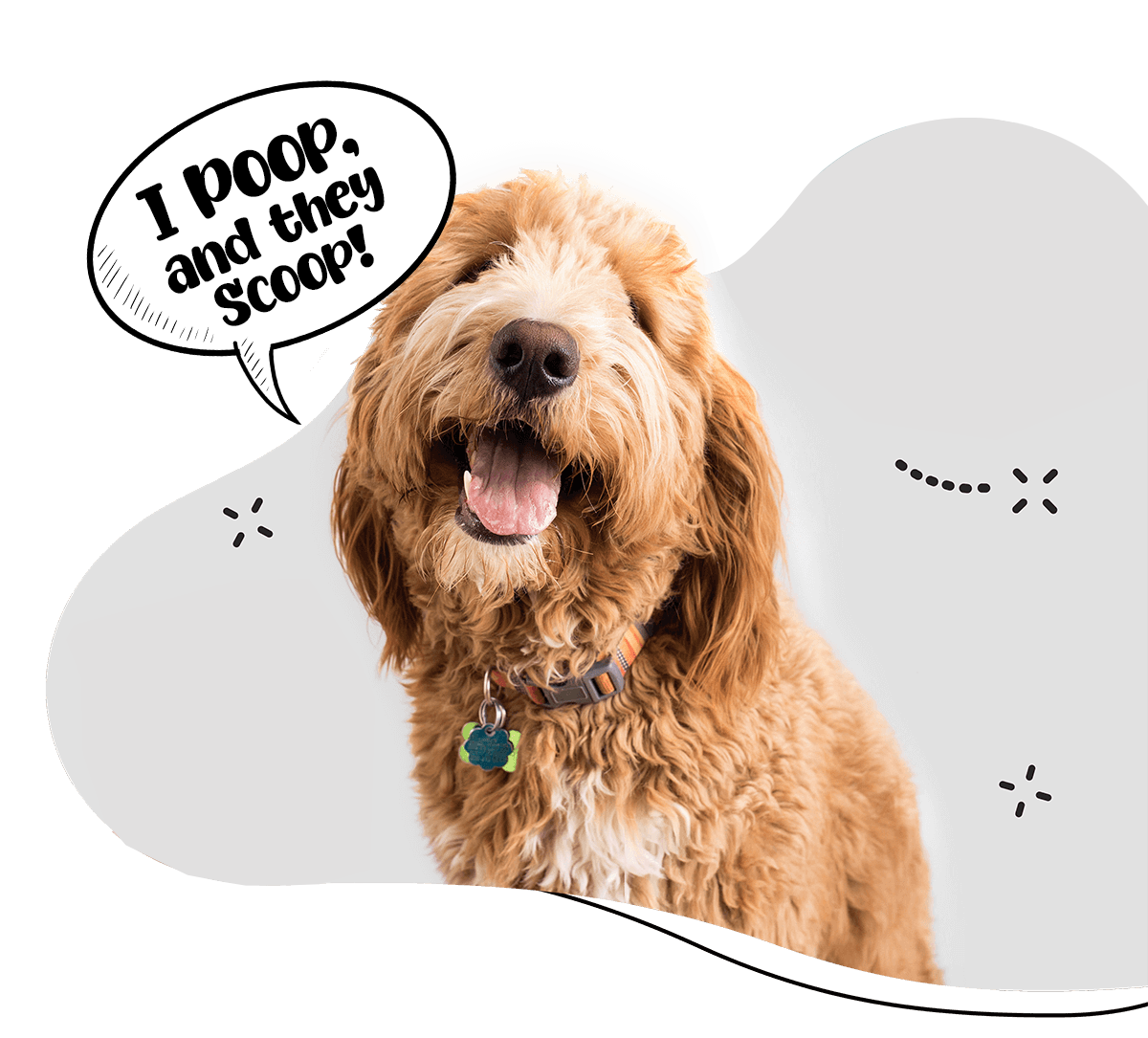 Poop Scoop